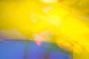 Visiografien zu "Im Lied des Phoenix"